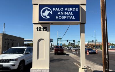 Peoria, AZ – Choosing the Right Materials for Long-Lasting Outdoor Signs