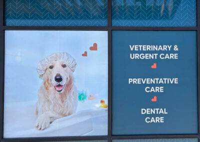 Veterinary clinic window sign in Phoenix by Arizona Custom Signworks, featuring a dog in a bath; services: urgent care, preventative, dental.
